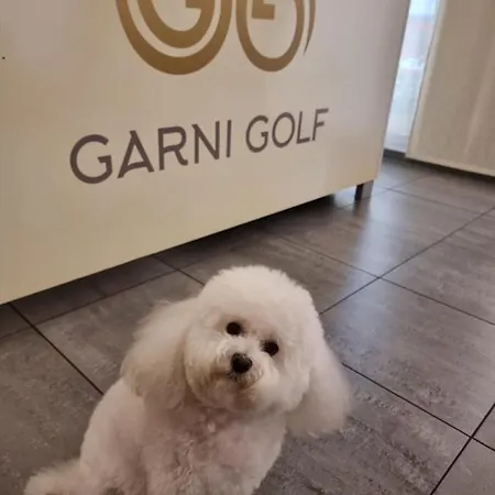 호텔 Garni Golf 3*